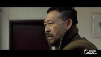 国产字幕,跨越语言障碍，传递文化魅力