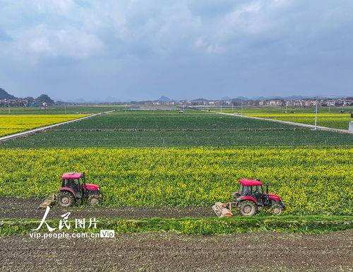 1024国产基地在线,探索中国科技产业的创新与发展