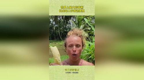 大香蕉国产成人